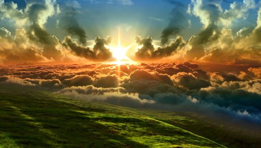 Forsaken But Not Forgotten